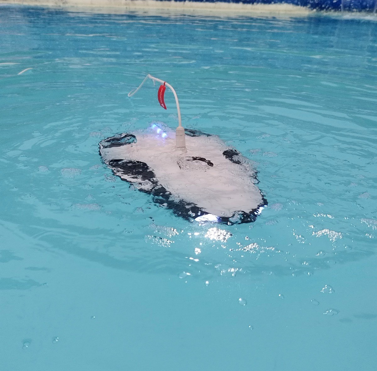 ROV submarino durante una prueba controlada en piscina.